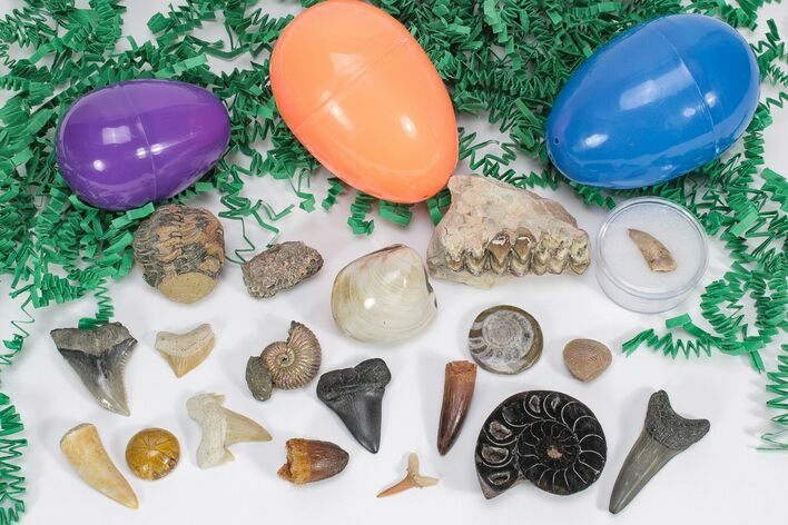Fossil Filled Easter Eggs! - 12 Pack - Photo 1